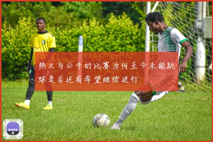 热火与公牛的比赛为何至今未能跳球是否还有希望继续进行