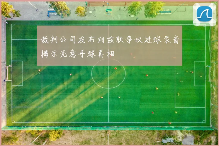 裁判公司发布利兹联争议进球录音揭示无意手球真相