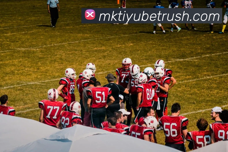 App Interface Preview