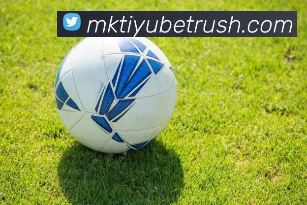 MK体育APP 封面图